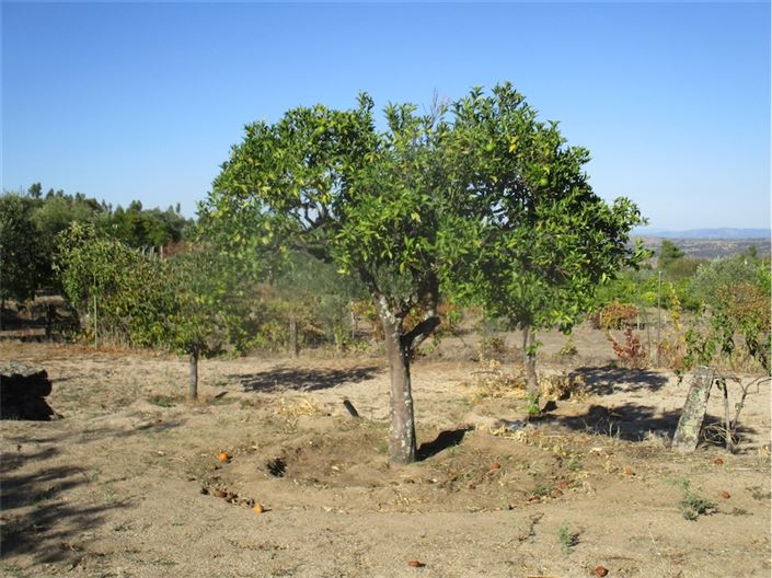 Image No.17-Property for sale