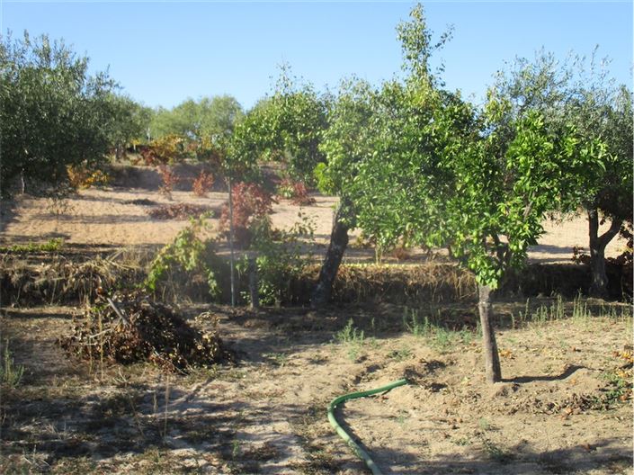 Image No.19-Property for sale