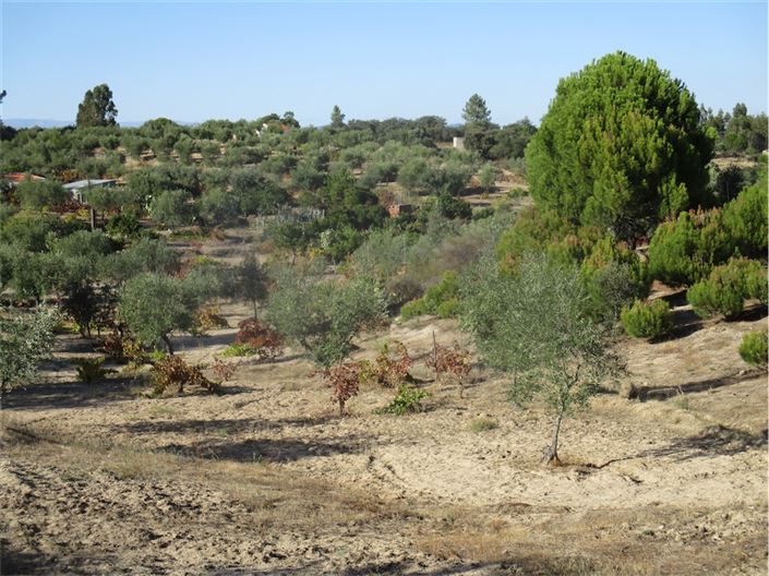 Image No.2-Property for sale