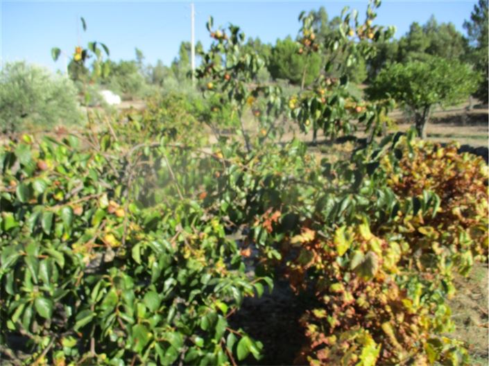 Image No.20-Property for sale