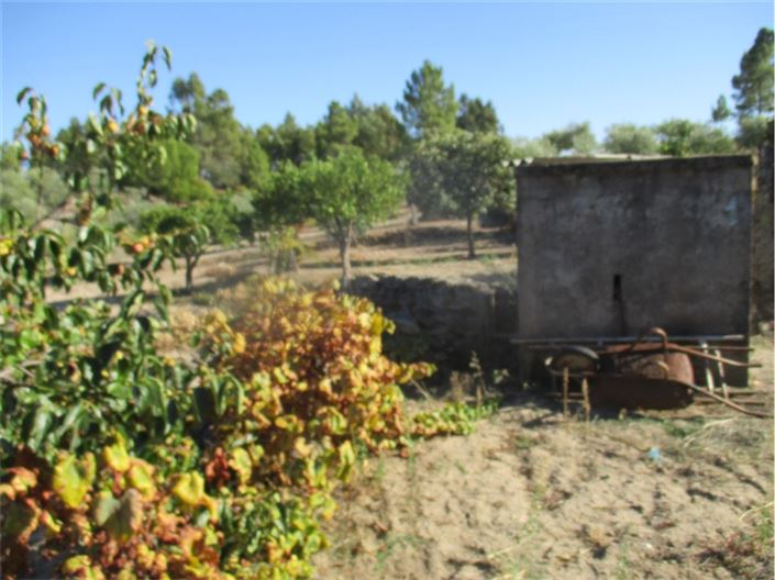 Image No.21-Property for sale