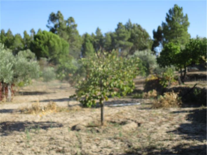 Image No.22-Property for sale