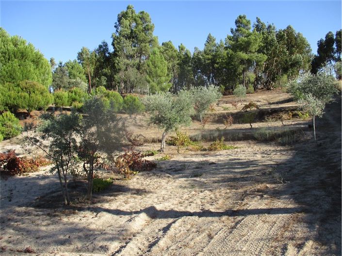 Image No.26-Property for sale