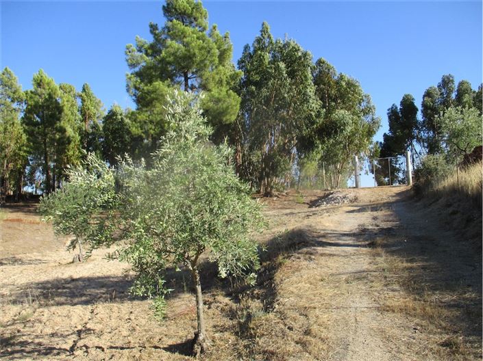 Image No.27-Property for sale