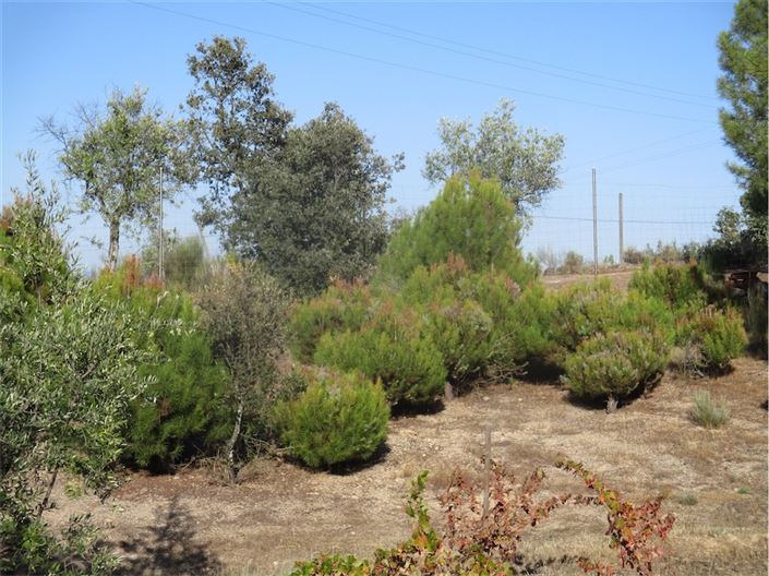 Image No.28-Property for sale