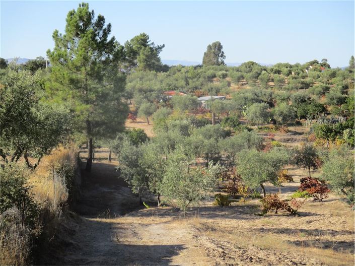 Image No.29-Property for sale