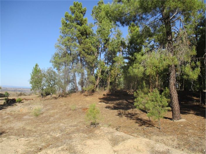 Image No.3-Property for sale