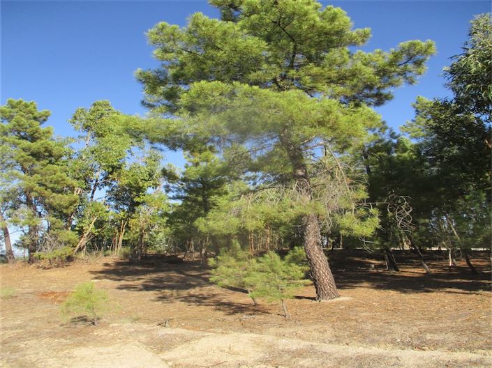 Image No.4-Property for sale