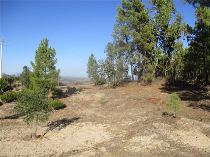 Image No.5-Property for sale