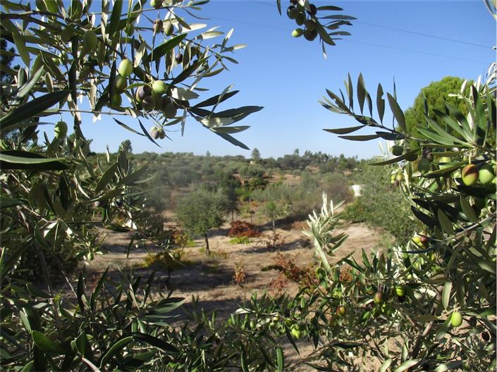 Image No.6-Property for sale