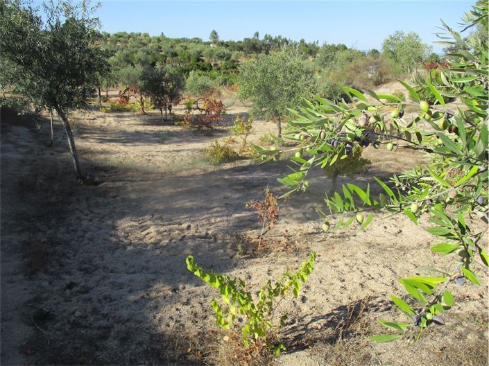 Image No.7-Property for sale