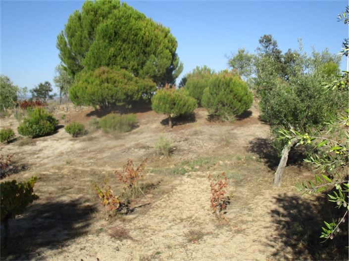 Image No.8-Property for sale