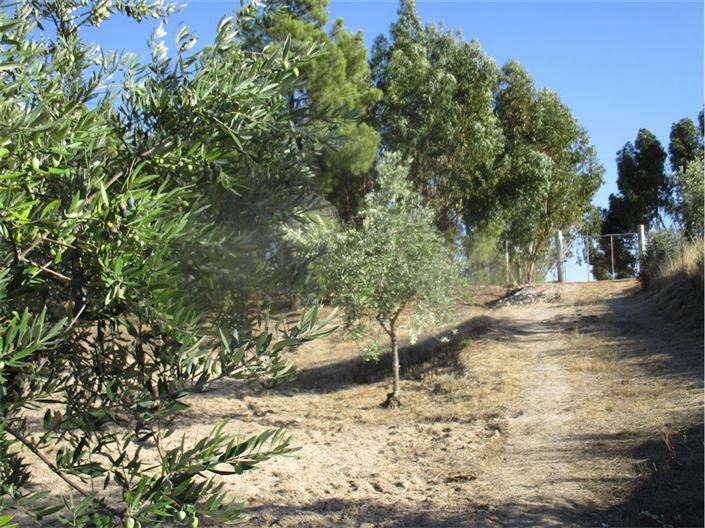 Image No.9-Property for sale