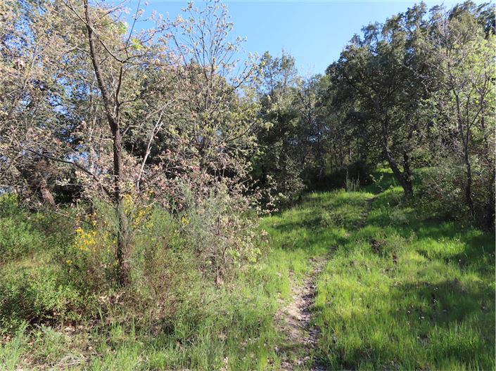 Image No.10-Property for sale