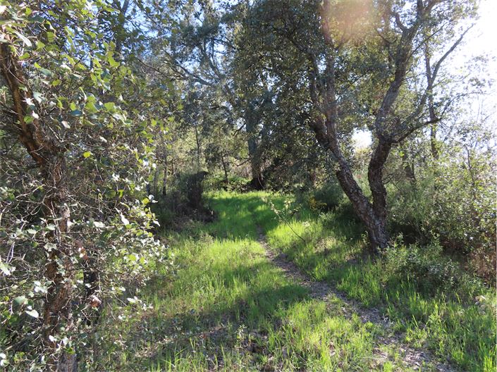 Image No.11-Property for sale