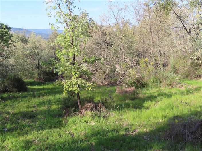 Image No.13-Property for sale