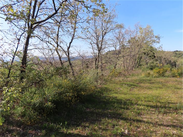 Image No.3-Property for sale