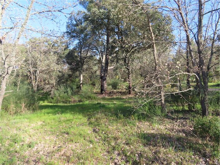 Image No.7-Property for sale