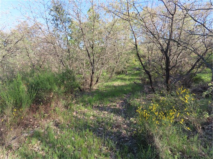 Image No.9-Property for sale