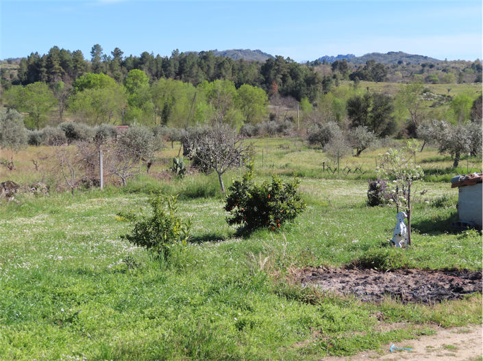 Image No.1-Property for sale