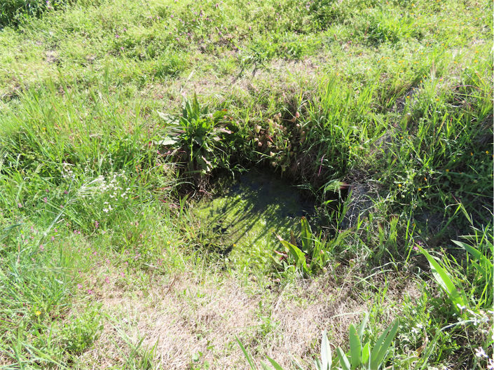 Image No.11-Property for sale