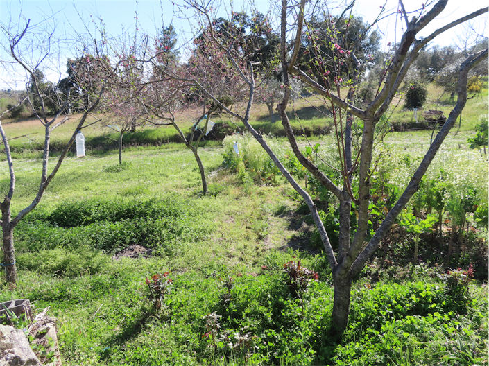 Image No.17-Property for sale