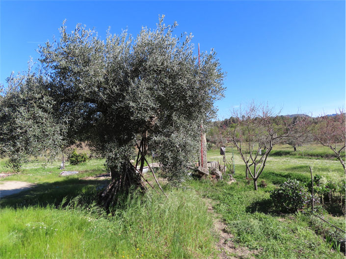 Image No.18-Property for sale