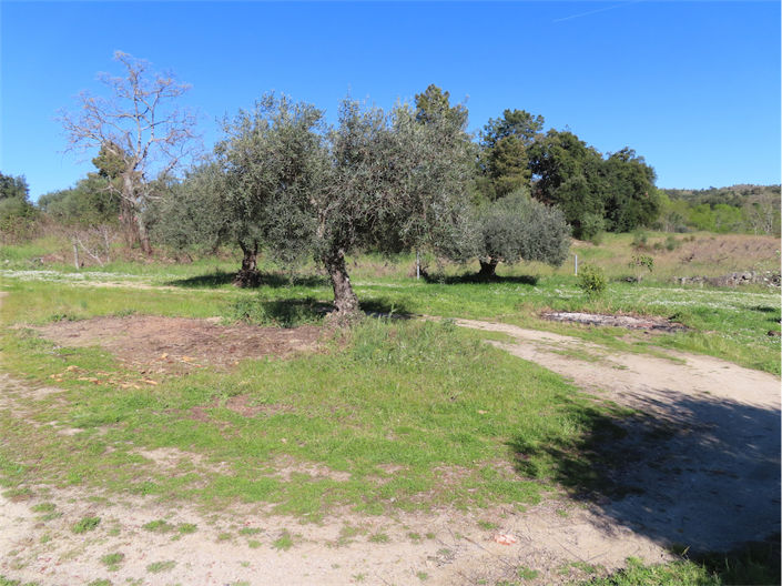 Image No.19-Property for sale