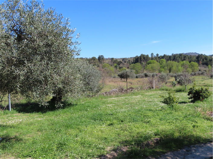 Image No.1-Property for sale