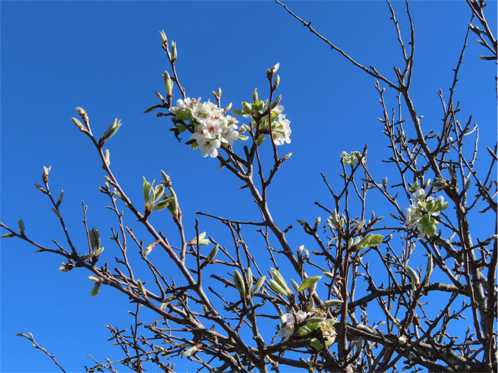 Image No.21-Property for sale