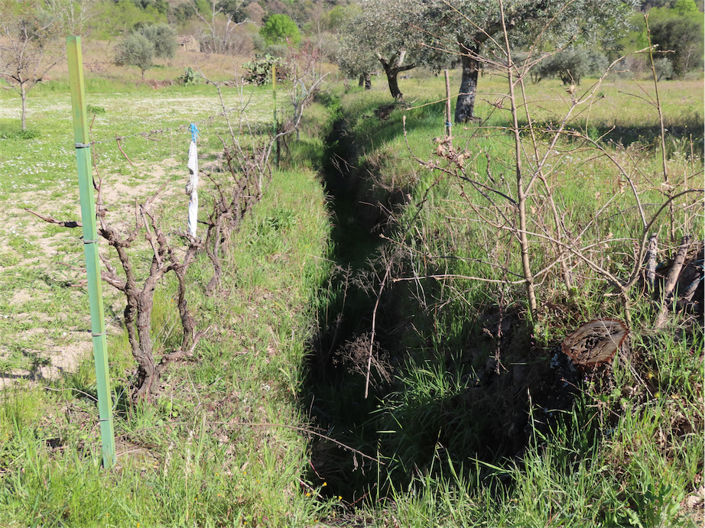 Image No.25-Property for sale