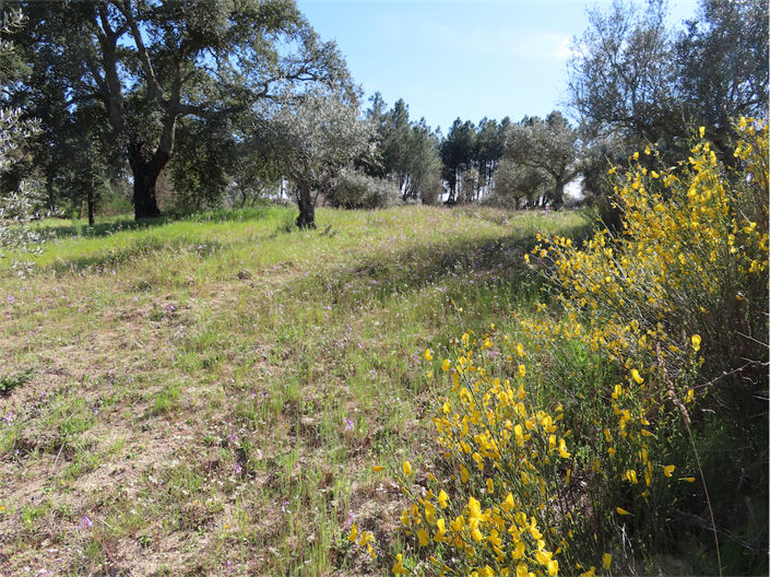 Image No.27-Property for sale