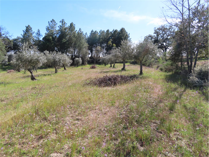 Image No.28-Property for sale