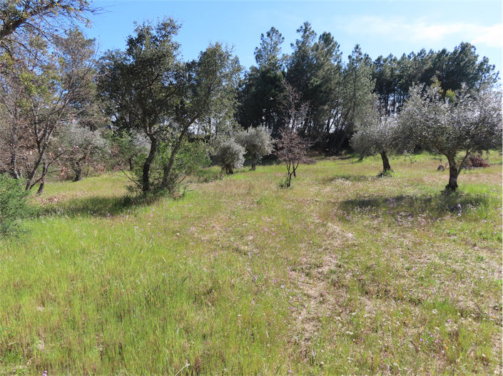 Image No.29-Property for sale