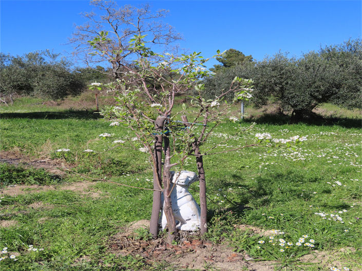 Image No.3-Property for sale