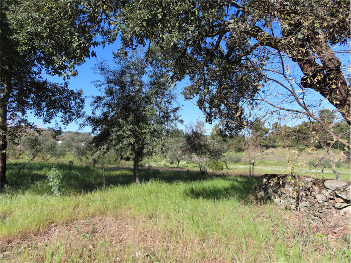 Image No.30-Property for sale