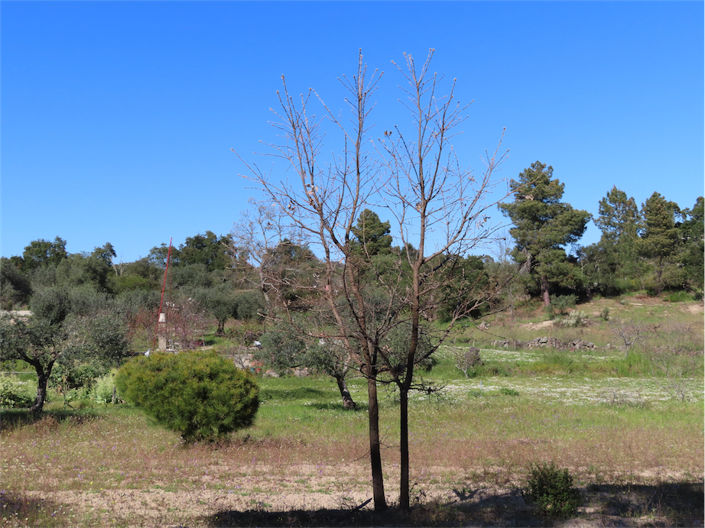 Image No.32-Property for sale