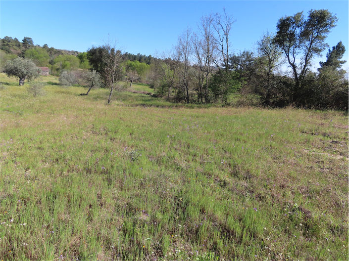 Image No.34-Property for sale