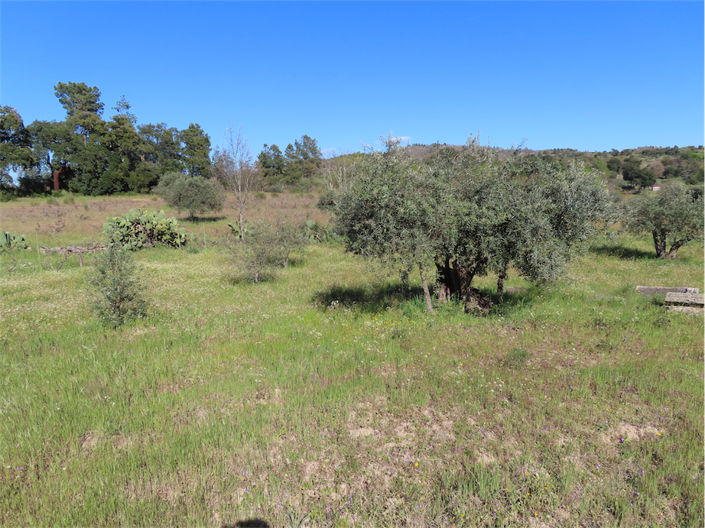 Image No.35-Property for sale