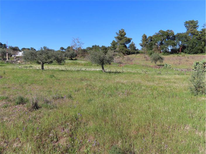 Image No.36-Property for sale