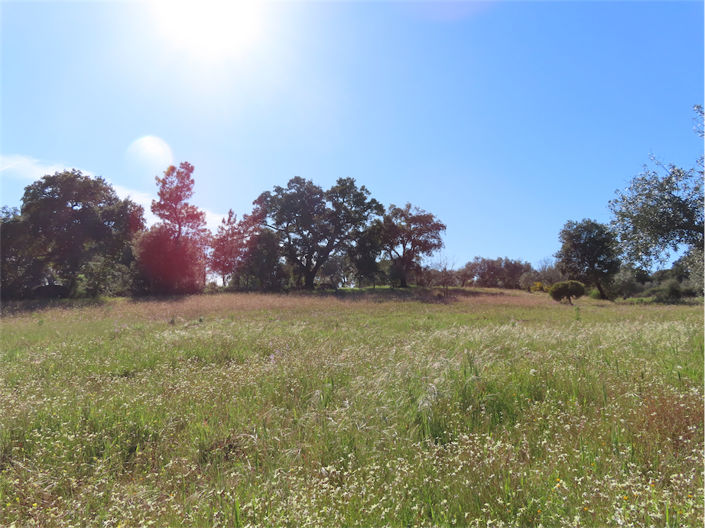 Image No.37-Property for sale