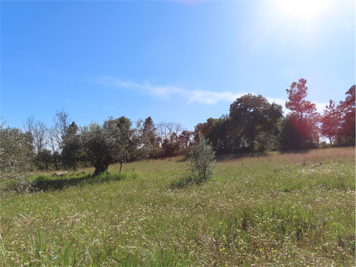 Image No.38-Property for sale