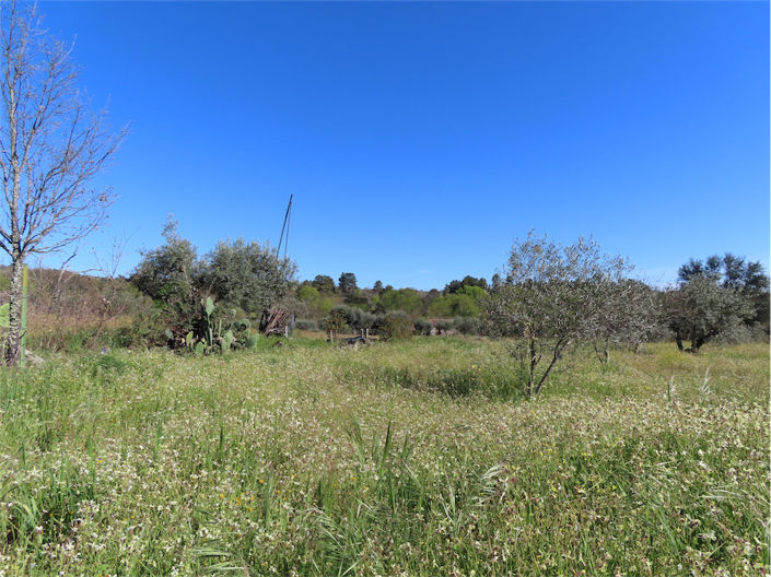 Image No.39-Property for sale