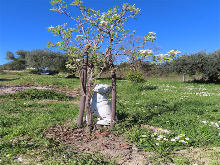 Image No.4-Property for sale