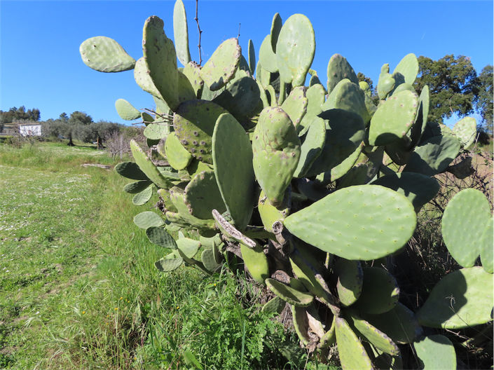 Image No.40-Property for sale