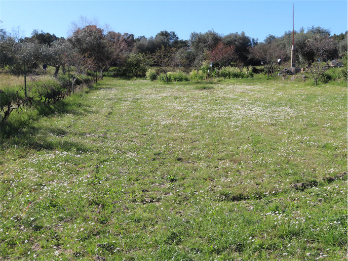 Image No.41-Property for sale