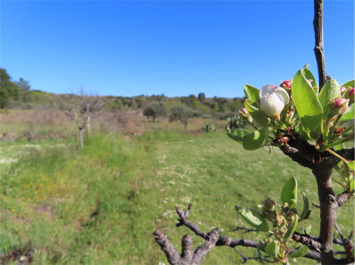 Image No.42-Property for sale