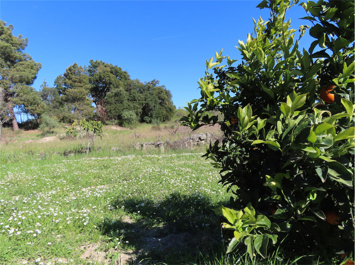 Image No.5-Property for sale