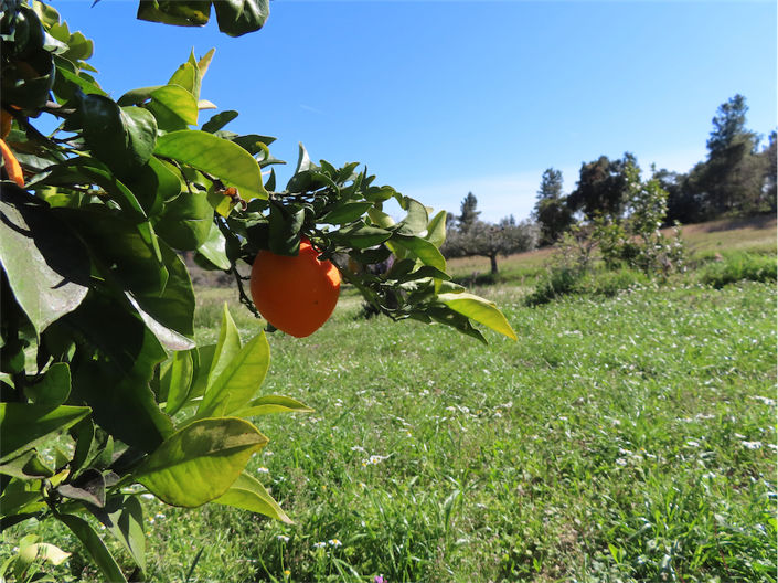 Image No.6-Property for sale