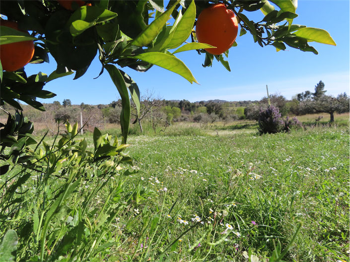 Image No.7-Property for sale